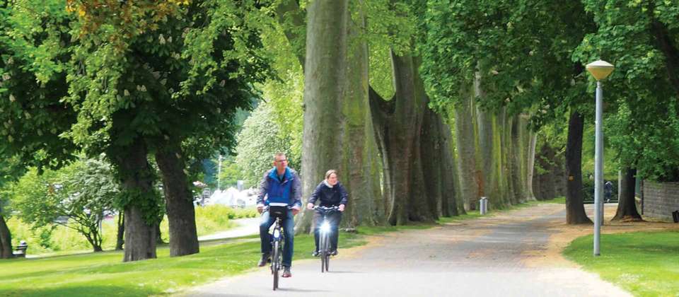 Moselle Bike Path Cycle: Trier to Koblenz - Utracks - Germany - Image 8