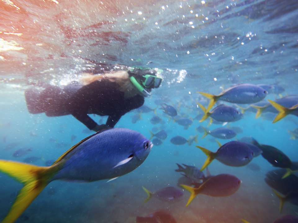 Most of the Coast: Sydney to Cairns - G Adventures - Australia - Image 10