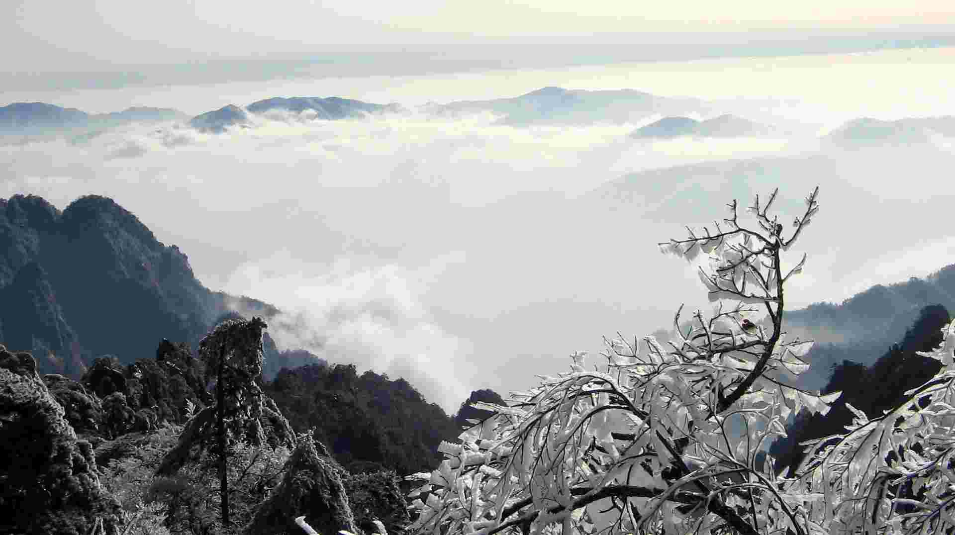 Mount Huangshan One Day Group Tour