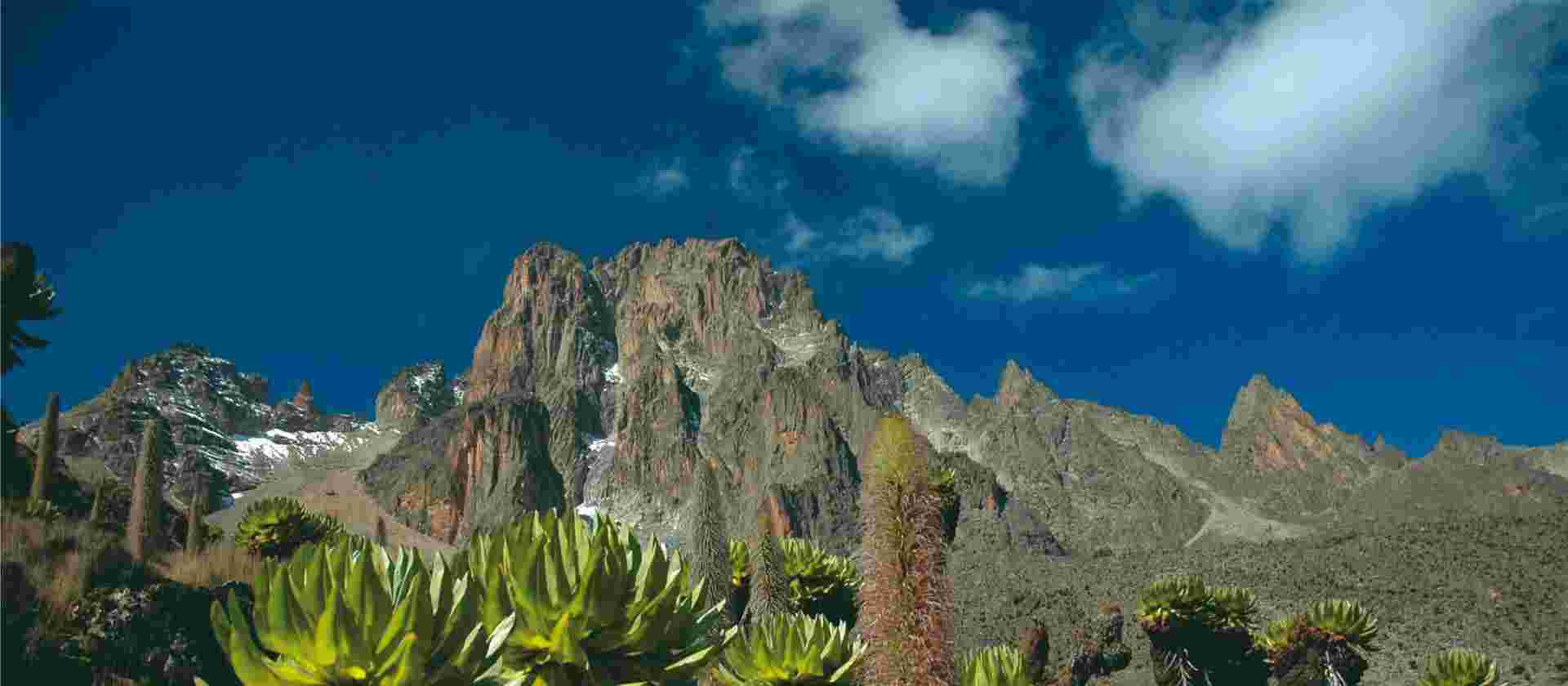 Mount Kenya Ascent