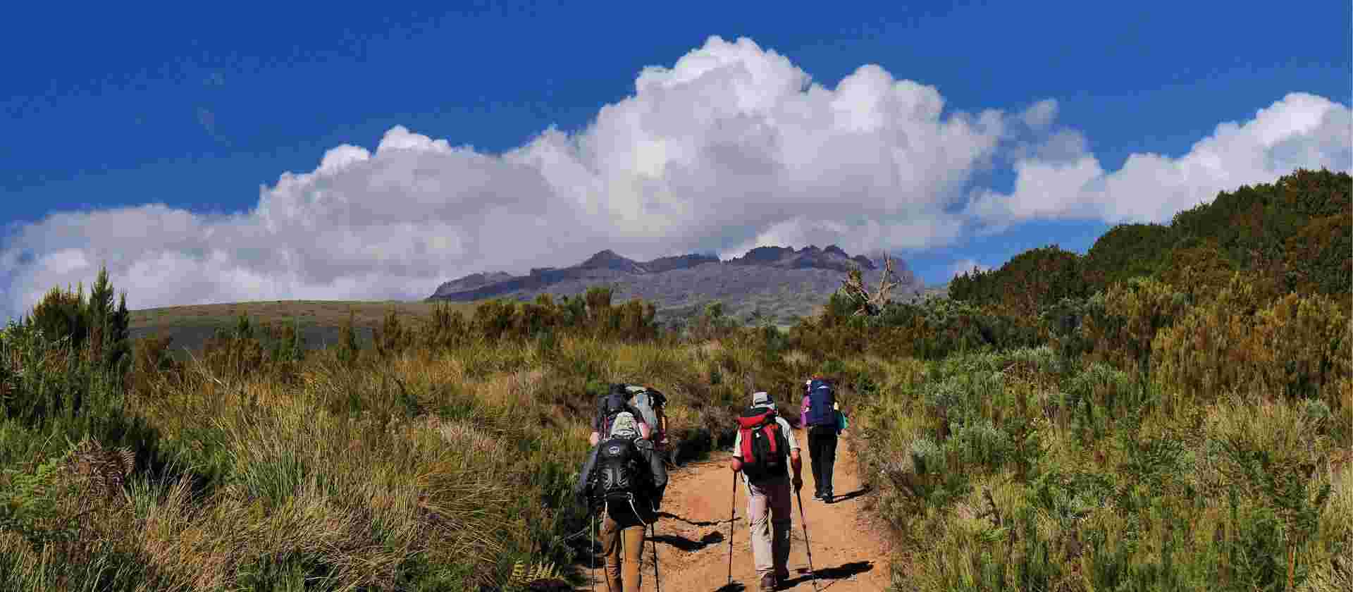 Mount Kenya Ascent