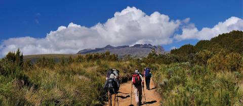 Mount Kenya Ascent - 7 Days