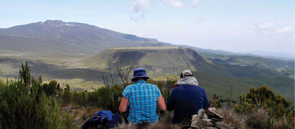 Mount Kenya Ascent - World Expeditions - Kenya - Image 5