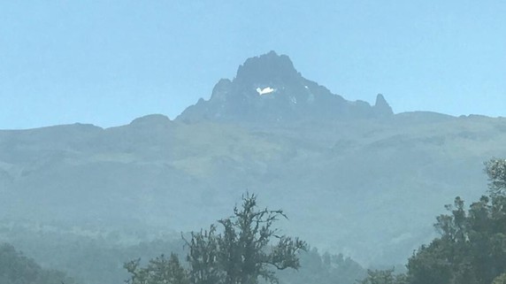 Image 5 of 7