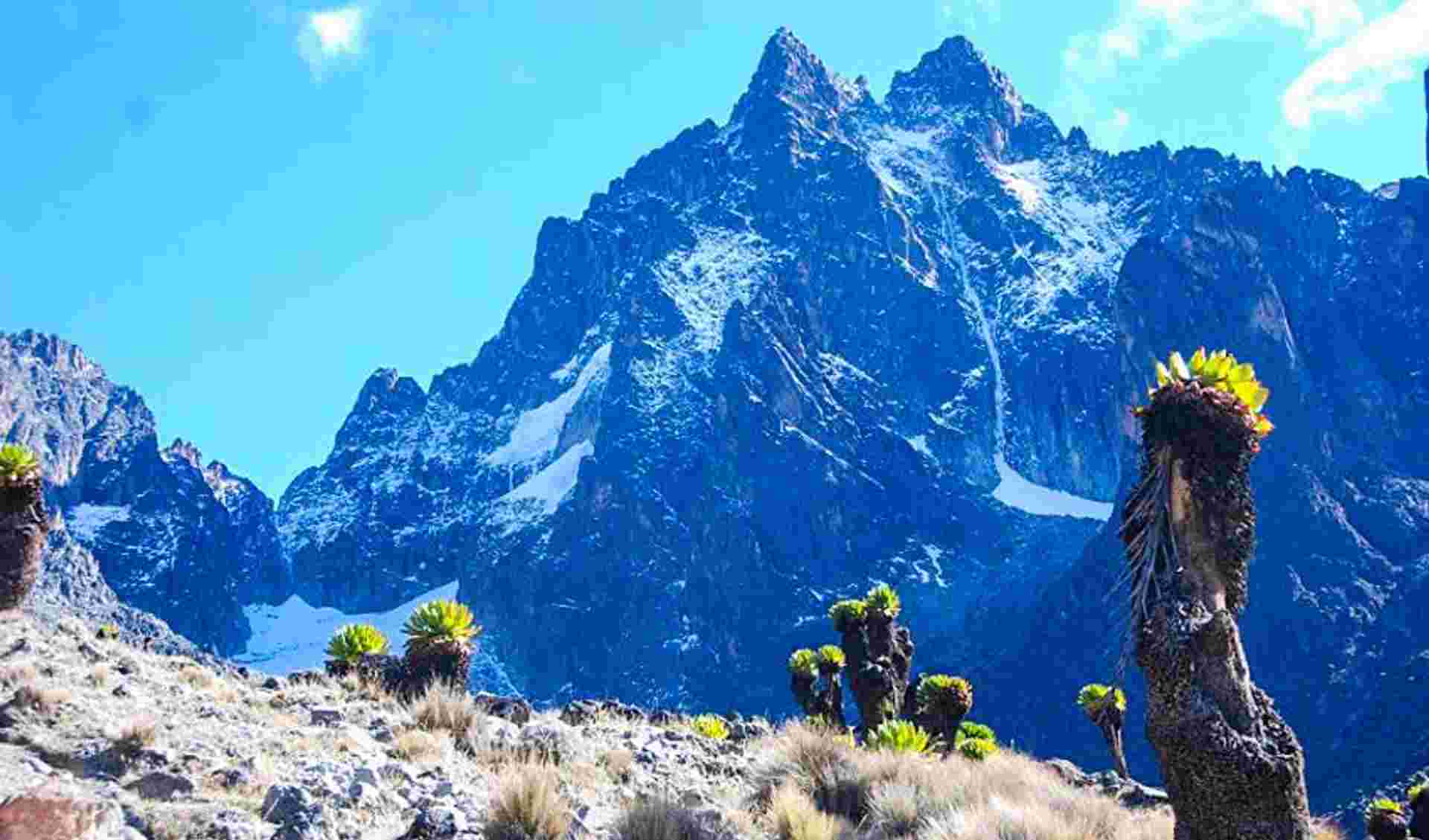 Mount Kenya Trek (Sirimon Route) 4D/3N