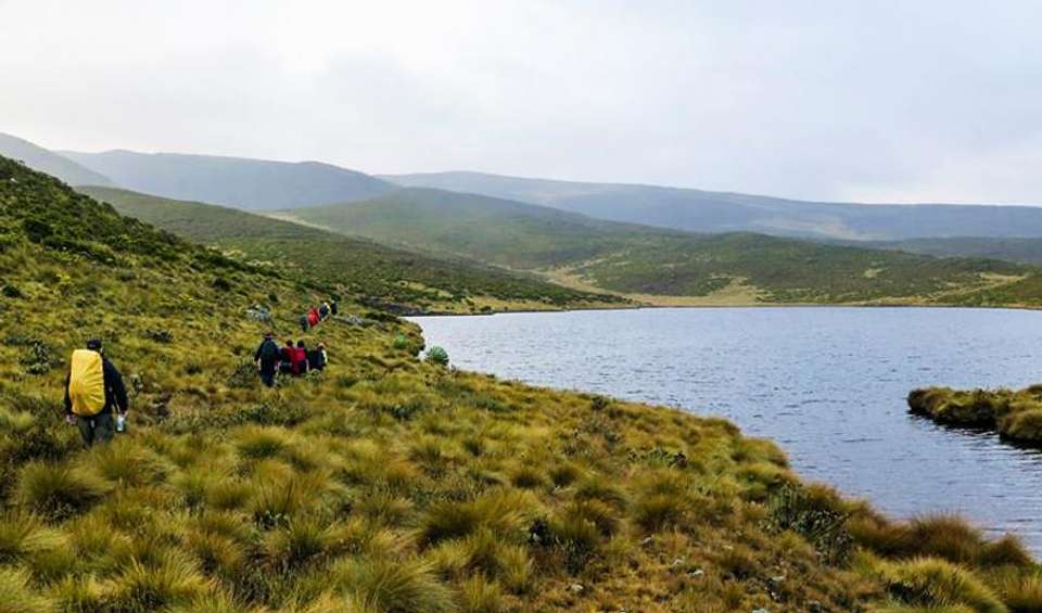 Mount Kenya Trek (Sirimon Route) 4D/3N - Bamba - Kenya - Image 5