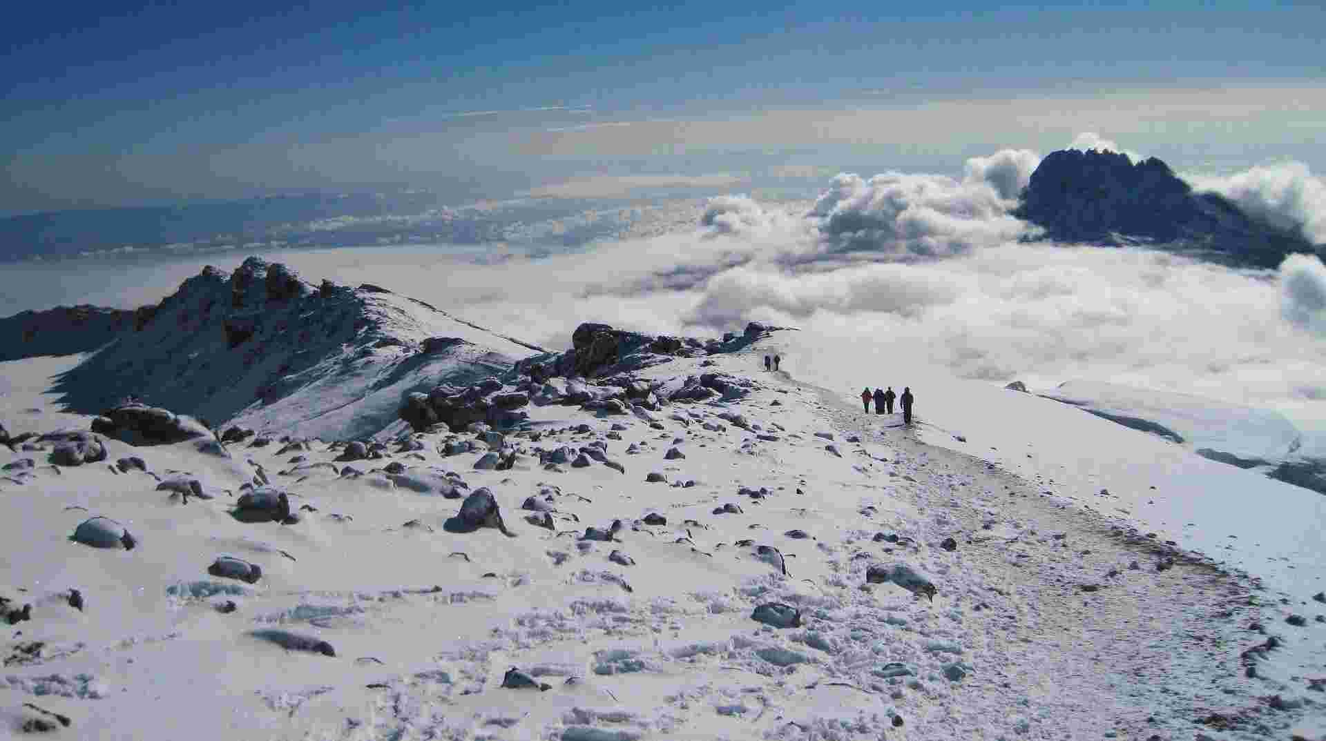 Mount Kili Climb via Lemosho Route (Small Group Tour) 