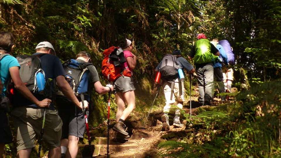 Mount Kili Climb via Lemosho Route (Small Group Tour)  - Wonders Of Creation Tours And Safaris - Tanzania - Image 2
