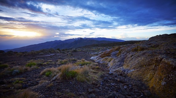 Image 3 of 3