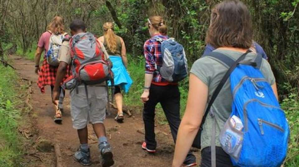Mount Kilimanjaro Day Hike & Wildlife Safari - Lights On Africa Destinations & Safaris - Tanzania