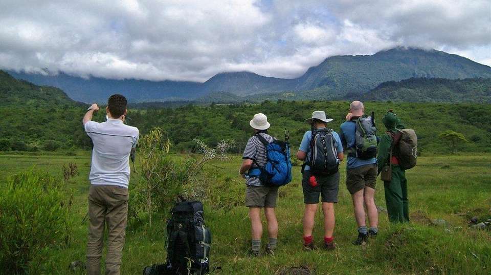 Mount Kilimanjaro Lemosho Route - Expect In Africa Safari - Tanzania - Image 4