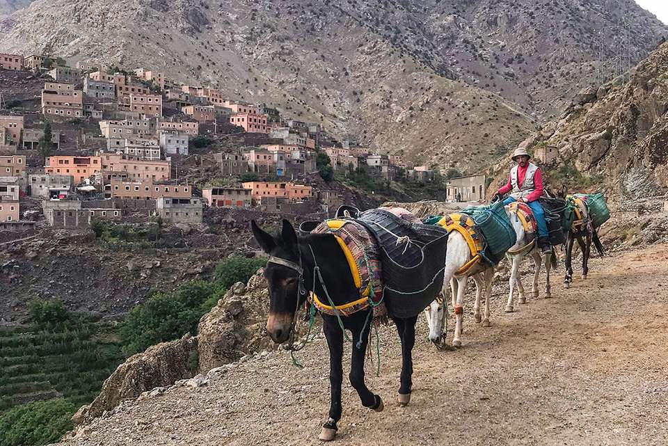 Mount Toubkal Trek - Intrepid Travel - Morocco - Image 2