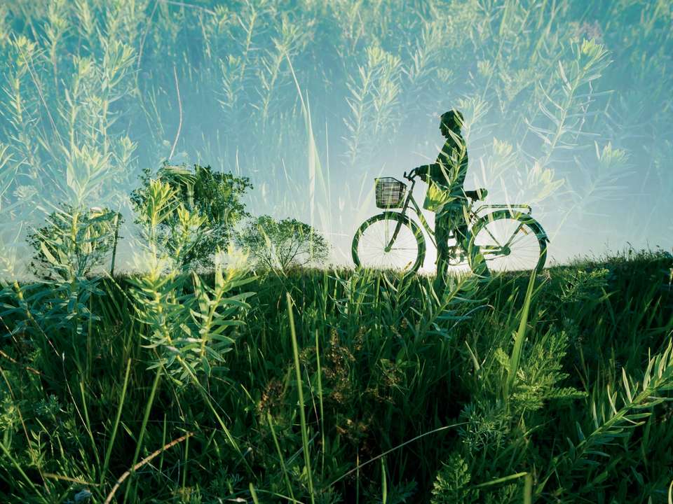Mountain to Coast Bike Experience 2D/1N - undefined - Image 5