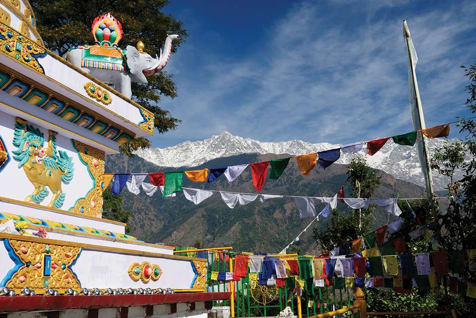 Mountains & Mystics of India - Intrepid Travel - India - Image 4