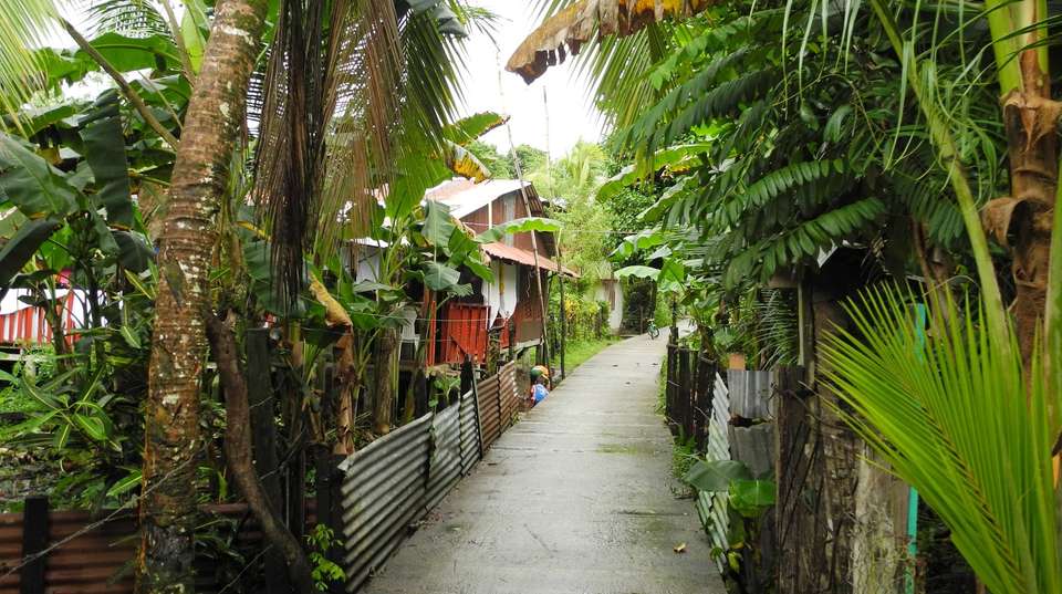 Mountains & Volcanos of Costa Rica - undefined - Image 2