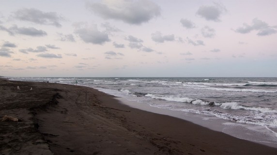 Image 5 of 12