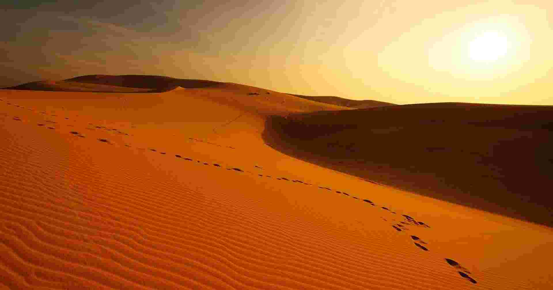 Mountains, Deserts and Coast of Oman