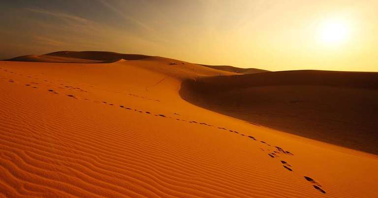 Oman Guided and Escorted Tours: Mountains, Deserts and Coast of Oman