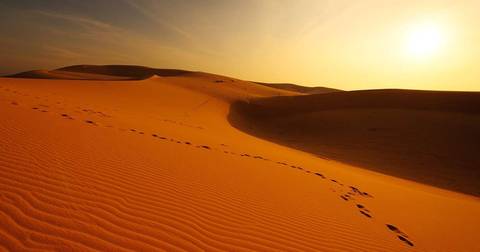 Beach Tour: Mountains, Deserts And Coast Of Oman