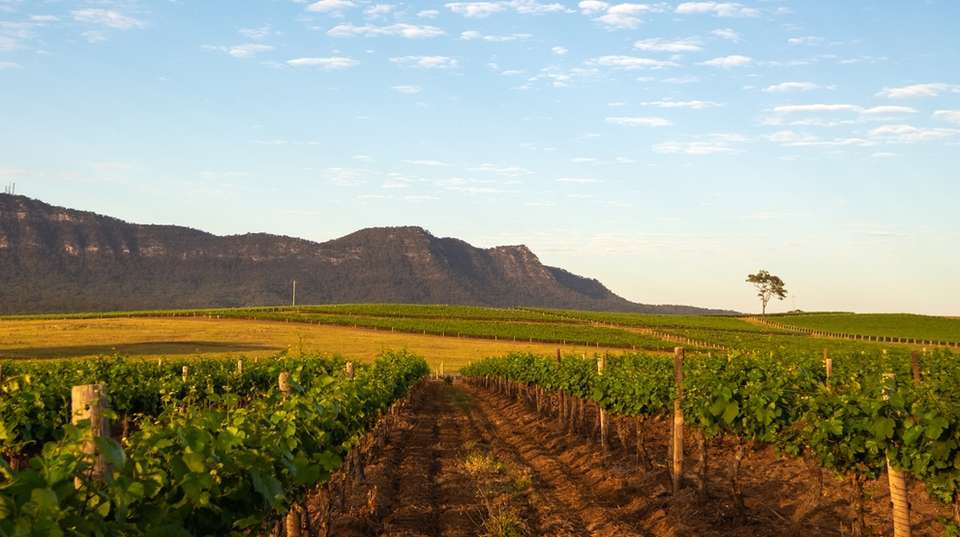 Mountains, Wine and Wildlife – 4 Day Flashpacker - undefined - Image 3