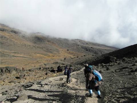 Tanzania Small Group Tours: Mt Kilimanjaro Climb - 8 Days