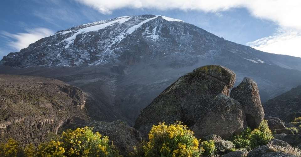 Mt. Kilimanjaro - Lemosho route, 8 days (6-day climb) - Altezza Travel - Tanzania