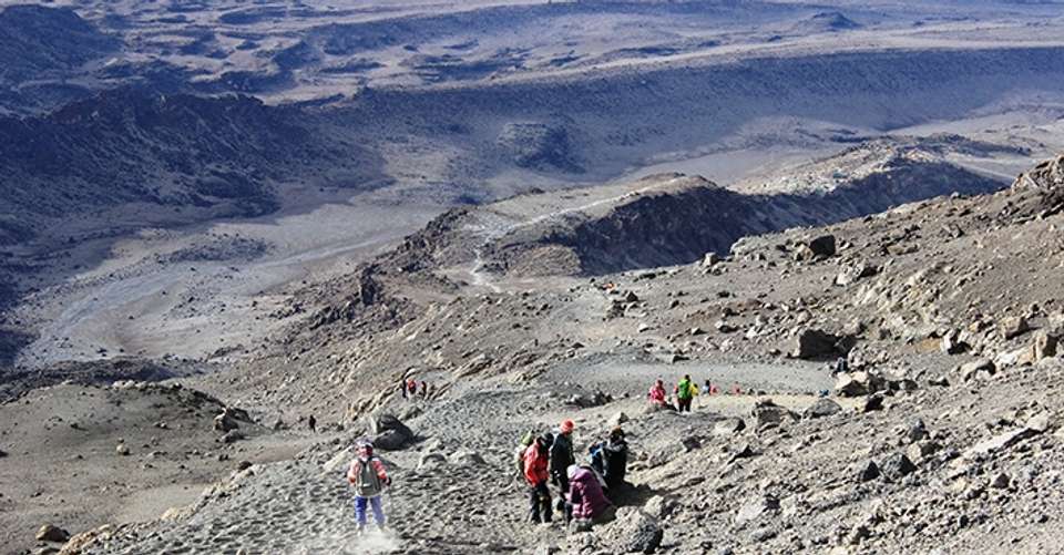 Mt. Kilimanjaro - Machame route, 8 days - Altezza Travel - Tanzania - Image 2