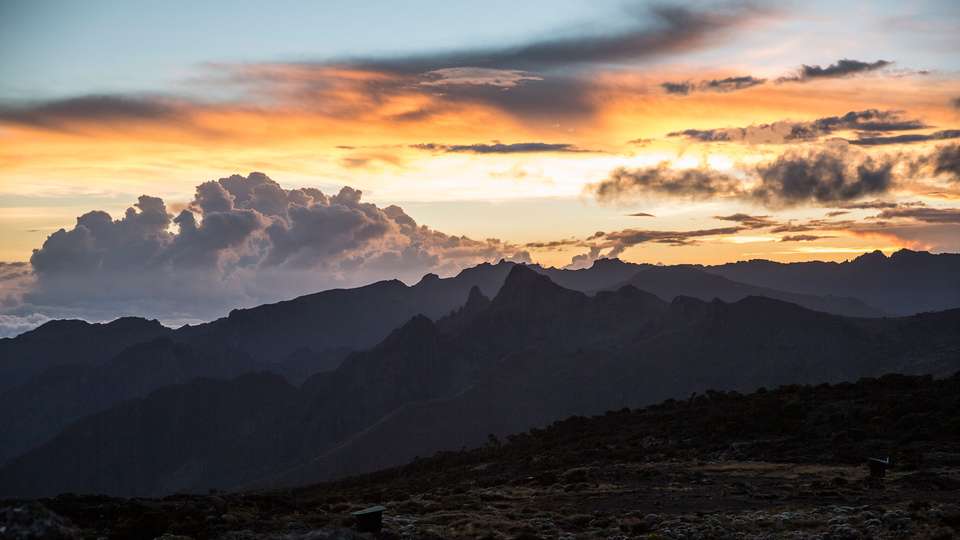 Mt Kilimanjaro Trek - Lemosho Route - G Adventures - Tanzania
