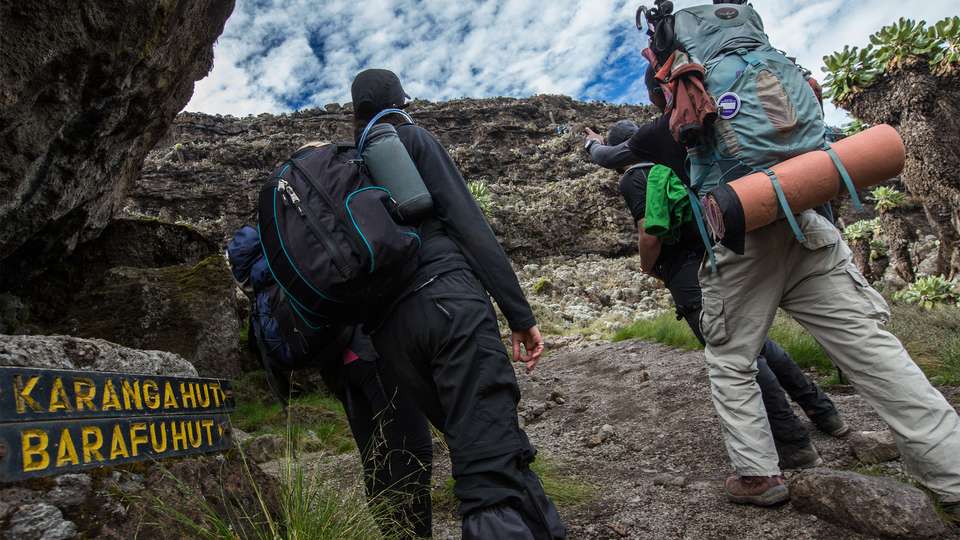 Mt Kilimanjaro Trek - Lemosho Route - G Adventures - Tanzania