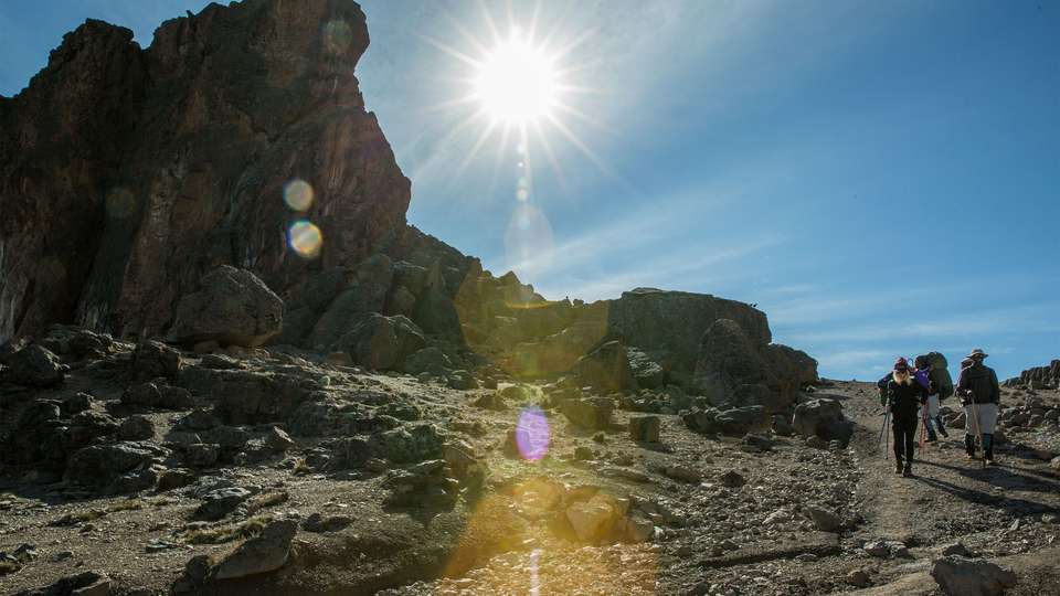 Mt Kilimanjaro Trek - Lemosho Route - G Adventures - Tanzania