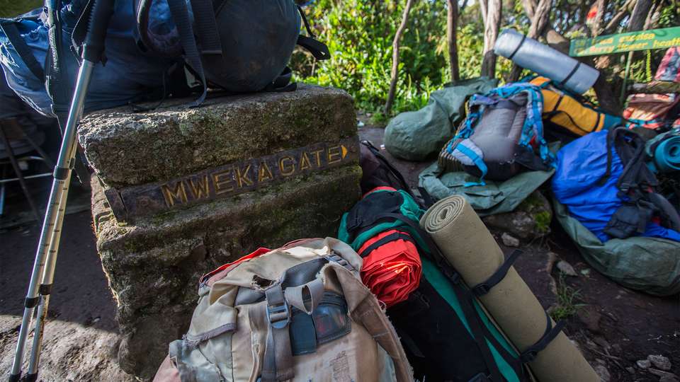 Mt Kilimanjaro Trek - Lemosho Route - G Adventures - Tanzania