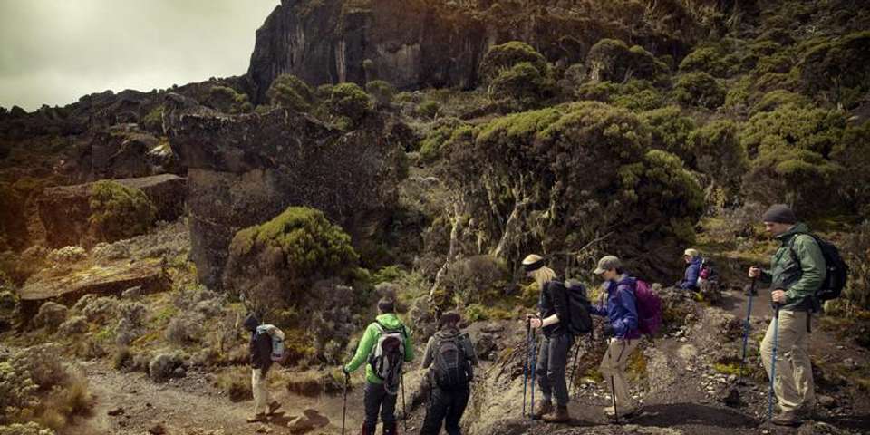 Mt Kilimanjaro Trek - Machame Route (8 Days) - G Adventures - Tanzania - Image 1