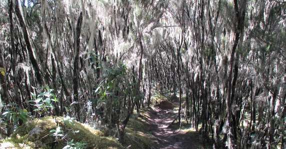 Image 2 of 4