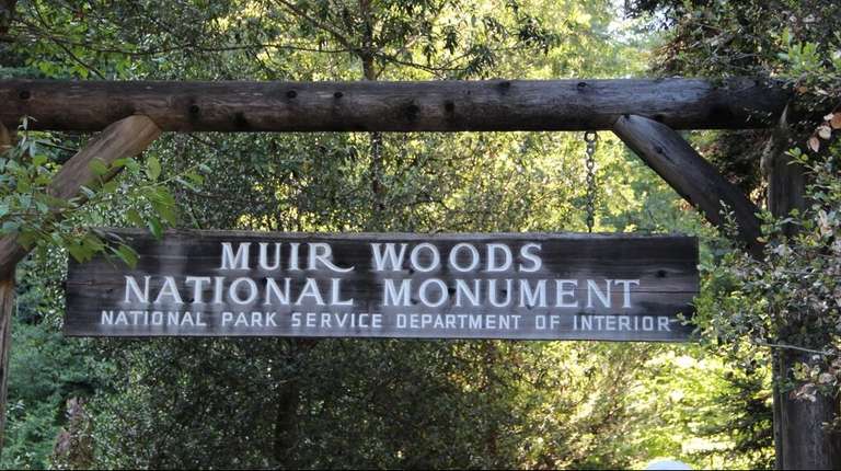 Muir Woods & Sausalito Experience - May 2027
