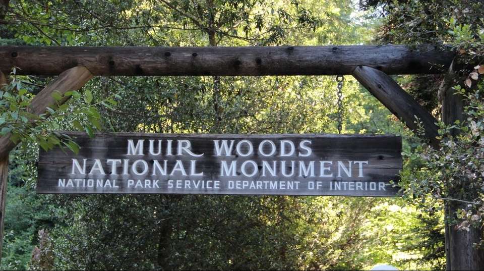 Muir Woods & Sausalito Experience - Skyline Sightseeing San Francisco - USA - Image 1
