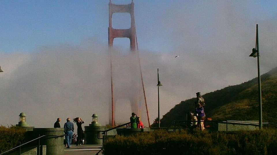 Muir Woods & Sausalito Experience - Skyline Sightseeing San Francisco - USA - Image 2