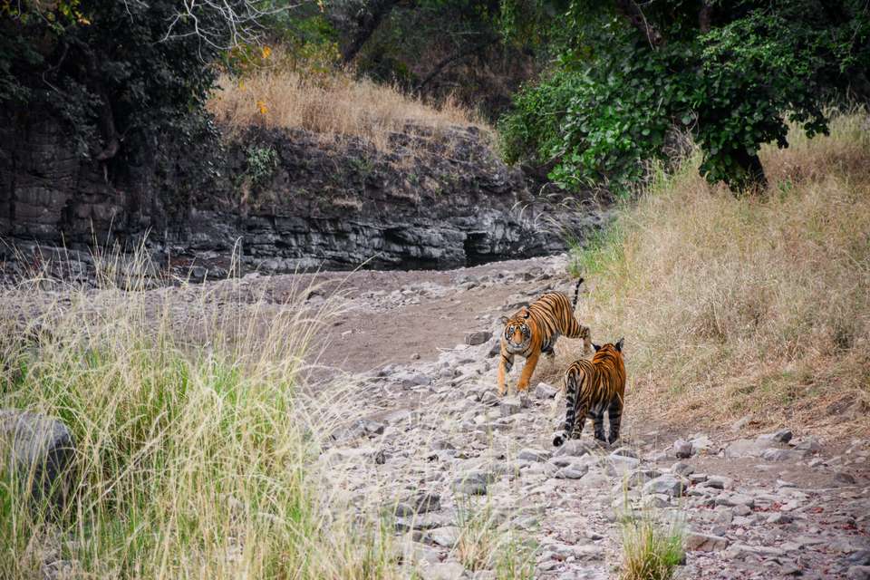 Mysteries of India - Collette Tours - India - Image 5
