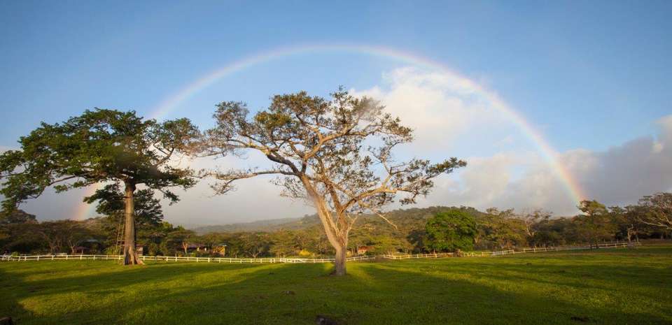 Mystic Waterfalls & Forests Of Costa Rica - Destination Services - Costa Rica - Image 2