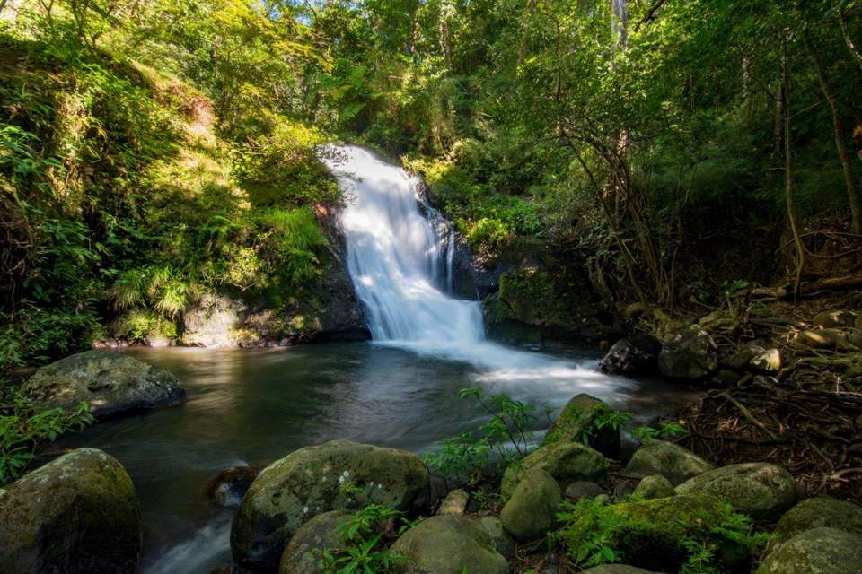 Mystic Waterfalls & Forests Of Costa Rica - undefined - Image 7