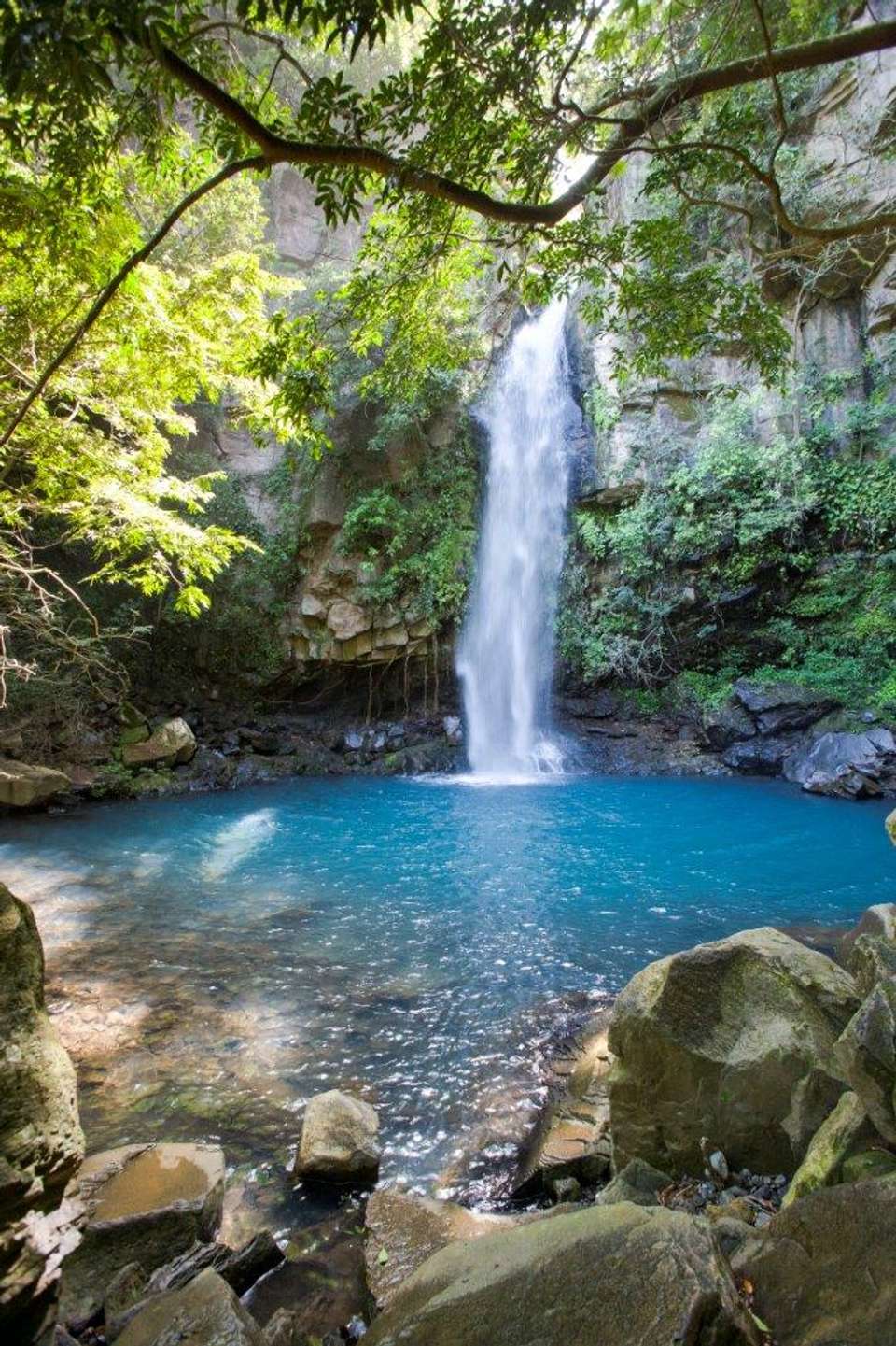 Mystic Waterfalls & Forests Of Costa Rica - Destination Services - Costa Rica - Image 10