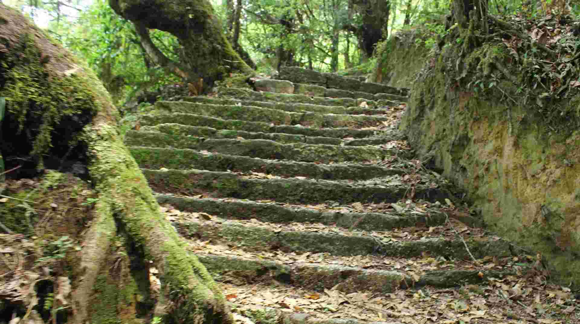 Nagarjun Hill Day Hike