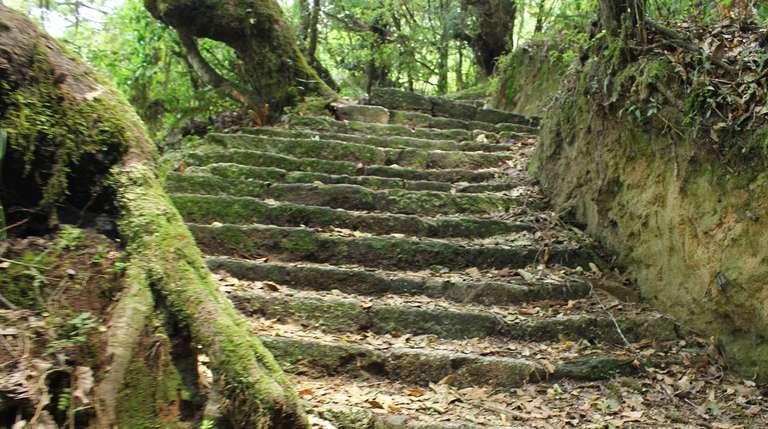Nagarjun Hill Day Hike trip - alternative tour available