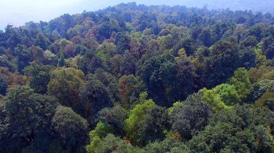 Nagarjun Hill Day Hike - Breakfree Adventures Pvt Ltd - Nepal - Image 6