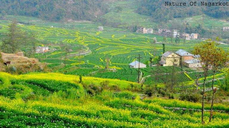 Nagarkot Day Hiking trip - alternative tour available