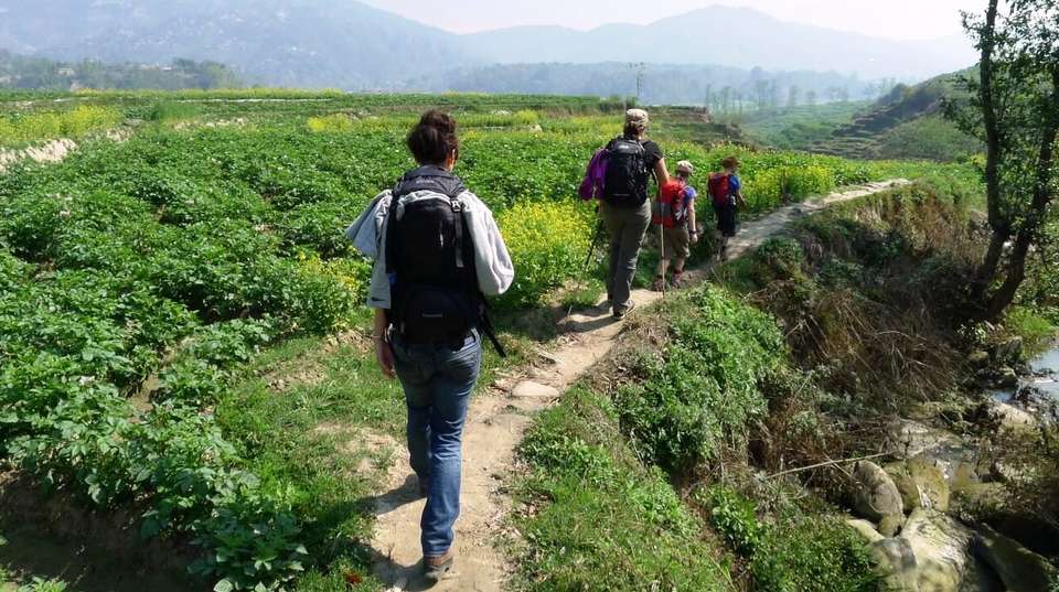 Nagarkot To Dhulikhel Hike (Day hiking in Kathmandu) - Breakfree Adventures Pvt Ltd - Nepal - Image 2