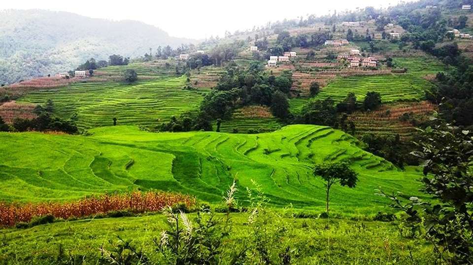Nagarkot To Dhulikhel Hike (Day hiking in Kathmandu) - Breakfree Adventures Pvt Ltd - Nepal - Image 4