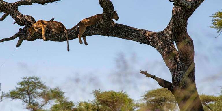 Nairobi to Cape Town Overland Safari & Participation Camping trip - alternative tour available