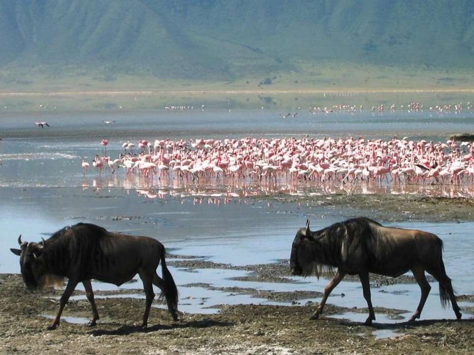 Nairobi To Dar Es Salaam (14 Days) - Oasis Overland - Kenya - Image 5