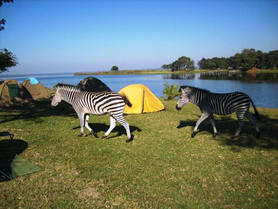 Nairobi To Harare (24 Days) Savanna Dawn - Oasis Overland - Kenya - Image 6