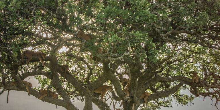Nairobi to Joburg Overland: Craters & Camping trip - alternative tour available